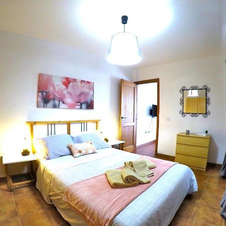 Apartamentos Ester 圣克鲁斯-德特内里费 外观 照片